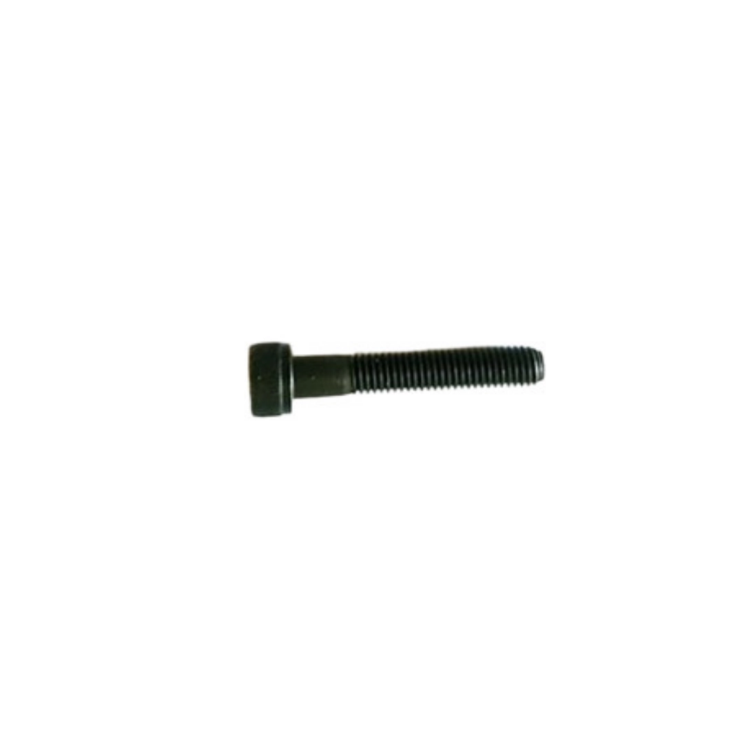 Screw