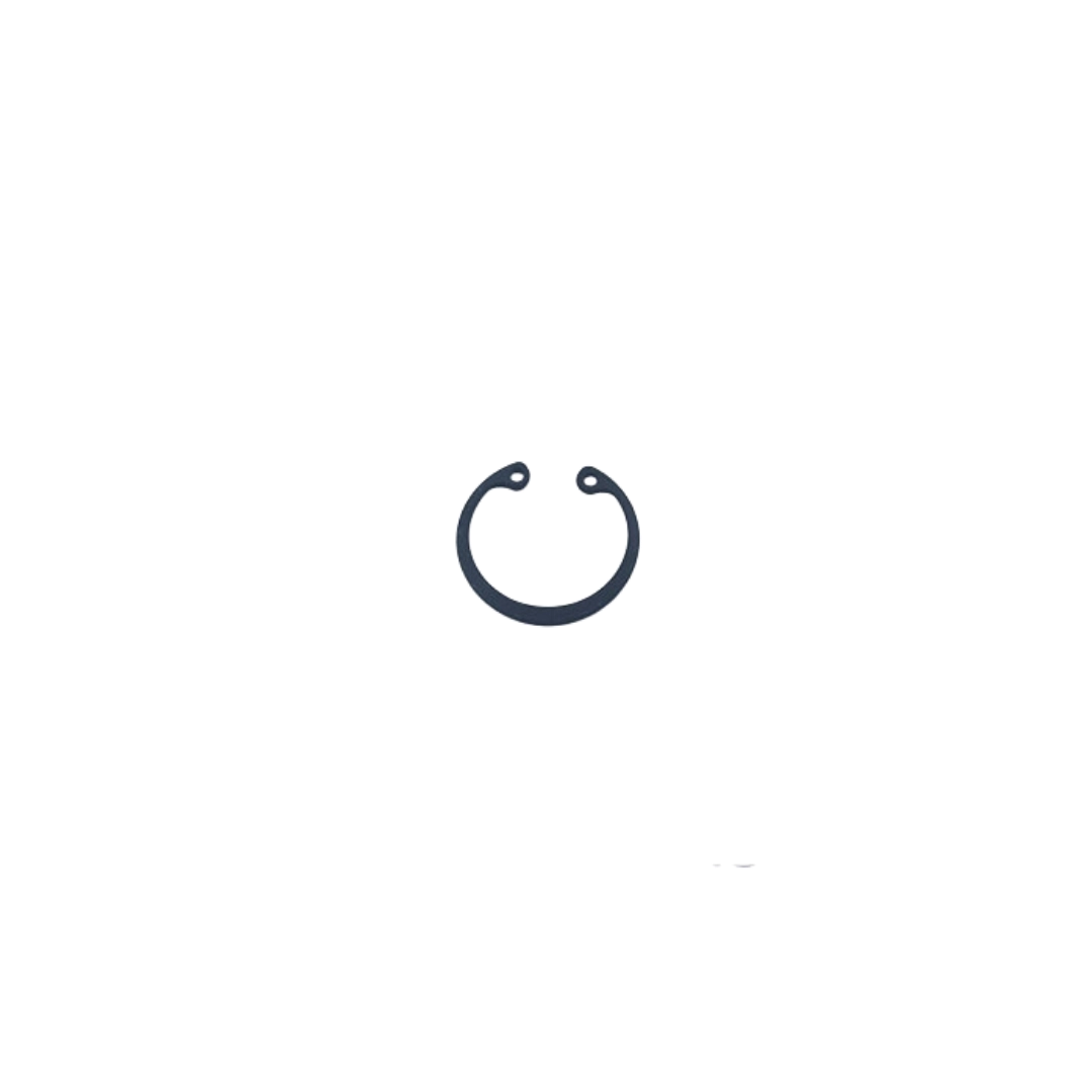 Circlip