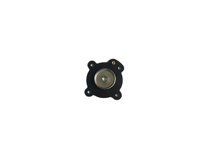 Diaphragm