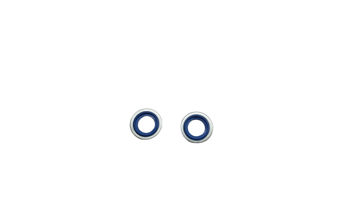 Seal Ring