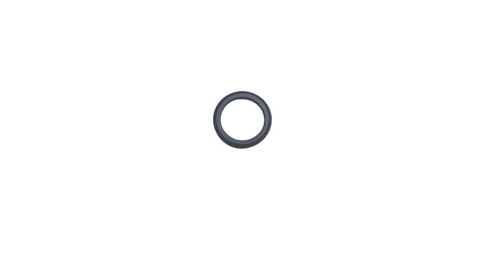 Shaft Seal